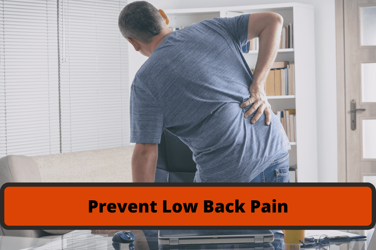 prevent low back pain in your employees.